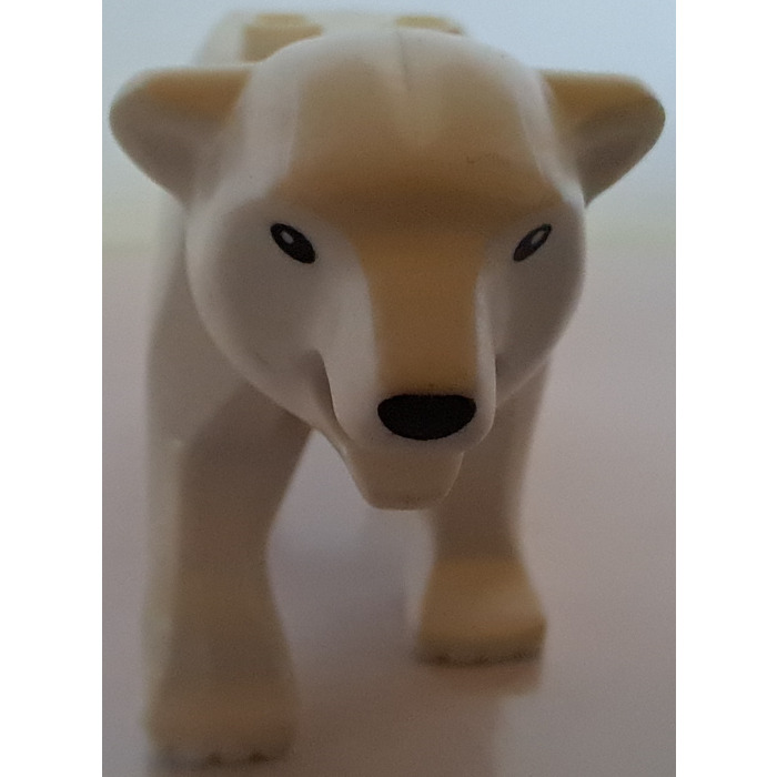 その他 Bears Bear with 2 Studs on Back with Black Nose and Dark Tan