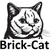 BRICK-CAT