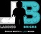 Laconic Bricks LLC