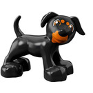 Duplo Zwart Hond met Oranje Gezicht Patches (58057)
