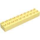 Duplo Brick 2 x 10 (2291)