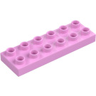 Duplo Rosa brillante Piastra 2 x 6 (98233)