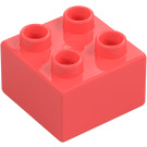 Duplo Koral Klods 2 x 2 (3437 / 89461)