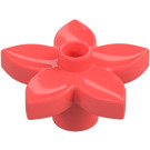 Duplo Coral Flor con 5 Angular Pétalos (6510 / 52639)