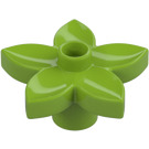 Duplo Flower with 5 Angular Petals (6510 / 52639)