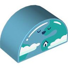 Duplo Medium Azure Brick 2 x 4 x 2 with Curved Top with Face and Clouds (31213 / 105451)