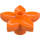 Duplo Orange Flower with 5 Angular Petals (6510 / 52639)