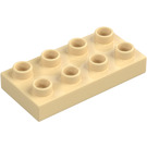 Duplo Zandbruin Plaat 2 x 4 (4538 / 40666)