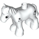 Duplo Weiß Foal mit Schwarz Spots (26392 / 75723)