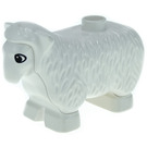 Duplo White Sheep with White Face
