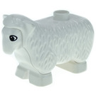 Duplo Blanco Sheep con Blanco Cara