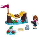 LEGO Adventure Camp Bridge 30398