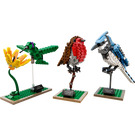 LEGO Birds Set 21301