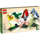 LEGO Birds Set 21301 Packaging