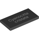 LEGO Black Tile 2 x 4 with Cyanocitta cristata (21248 / 87079)