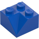 LEGO Sininen Luiska 2 x 2 (45°) Kaksinkertainen Concave (Sileä pinta) (3046)