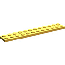 LEGO Bright Light Orange Plate 2 x 12 (2445)