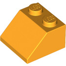 LEGO Orange clair brillant Pente 2 x 2 (45°) (3039 / 6227)