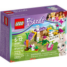 LEGO Bunny & Babies Set 41087 Packaging