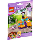 LEGO Katze's Playground 41018 Packaging