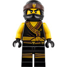 LEGO Cole Minifigure