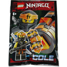 LEGO Cole 892062