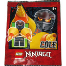 LEGO Cole 892071