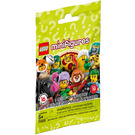 LEGO Collectable Minifigures Series 19 Random Bag Set 71025-0 Packaging