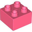 LEGO Coral Duplo Brick 2 x 2 (3437 / 89461)