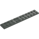 LEGO Dark Gray Plate 2 x 12 (2445)