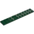 LEGO Dunkelgrün Platte 2 x 12 (2445)