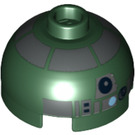 LEGO Dark Green Round Brick 2 x 2 Dome Top (Undetermined Stud - To be deleted) with Pearl Dark Gray (R4-P44) (88785)