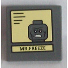 LEGO Dark Stone Gray Roadsign Clip-on 2 x 2 Square with Mr Freeze Sticker with Open 'O' Clip (15210)