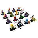 LEGO DC Super Heroes Random Bag 71026-0