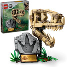 LEGO Dinosaurier Fossils: T. rex Skull 76964