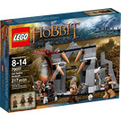 LEGO Dol Guldur Ambush Set 79011 Packaging