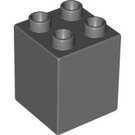 LEGO Duplo Dark Stone Gray Brick 2 x 2 x 2 (31110)