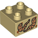 LEGO Duplo Beige Backstein 2 x 2 mit Worms (3437 / 26306)