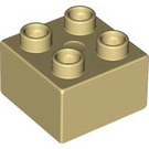 LEGO Duplo bronzer Brique 2 x 2 (3437 / 89461)
