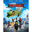 LEGO DVD & Blu-Ray - The Ninjago Movie (5005571)