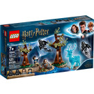 LEGO Expecto Patronum Set 75945 Packaging