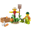 LEGO Farm Garden & Scarecrow Set 30590