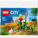 LEGO Farm Garden & Scarecrow Set 30590 Packaging