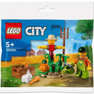 LEGO Farm Garden & Scarecrow 30590 Packaging