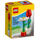 LEGO Flower Display Set 40187 Packaging