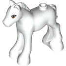 LEGO Foal con Arancione Occhi (1417 / 11241)