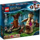 LEGO Forbidden Forest: Umbridge's Encounter Set 75967 Packaging