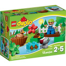 LEGO Forest: Ducks 10581 Packaging