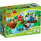 LEGO Forest: Ducks Set 10581 Packaging