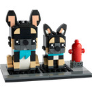 LEGO French Bulldog 40544